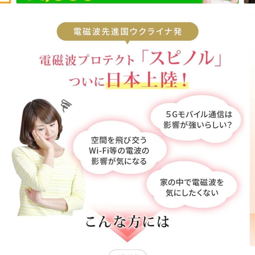 電磁波対策　スピノルルーム