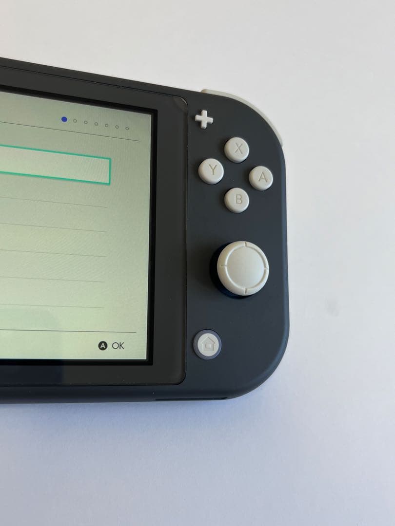 Nintendo switch Lite【ケース付、ACアダプタ無】