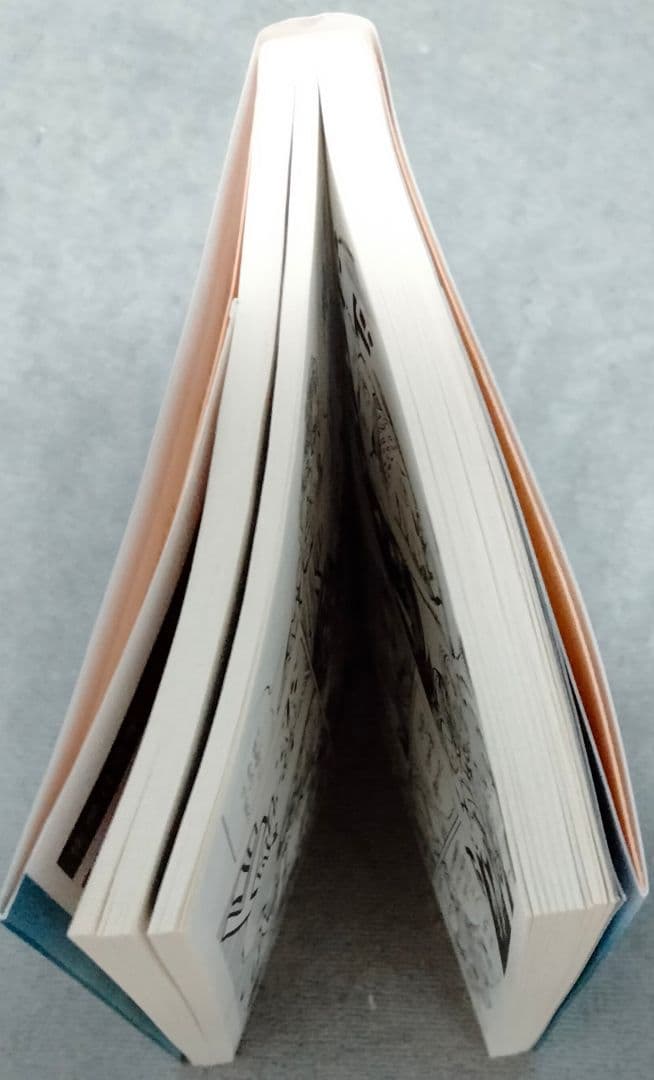 荒木飛呂彦　初版　ジョジョの奇妙な冒険　47巻　おまけ付き　Part.6　集英社