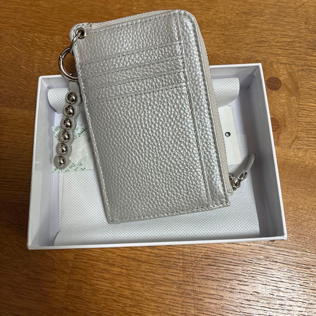 イアパピヨネ　シルバーフラグメントケース