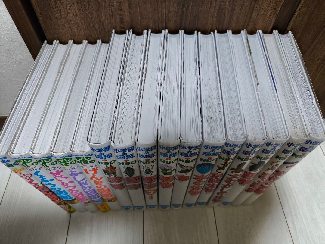 小学館　図鑑　NEO