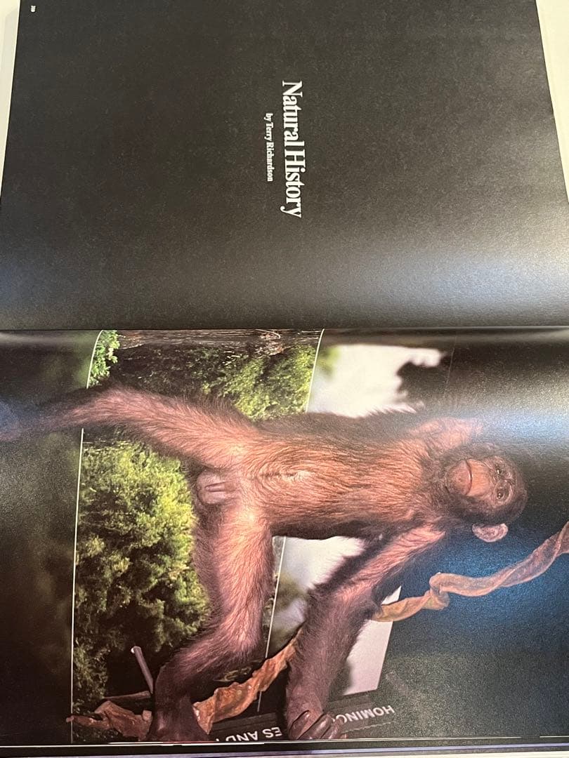 激レア　PARADIS No.4 purple 玉三郎　篠山紀信　国宝