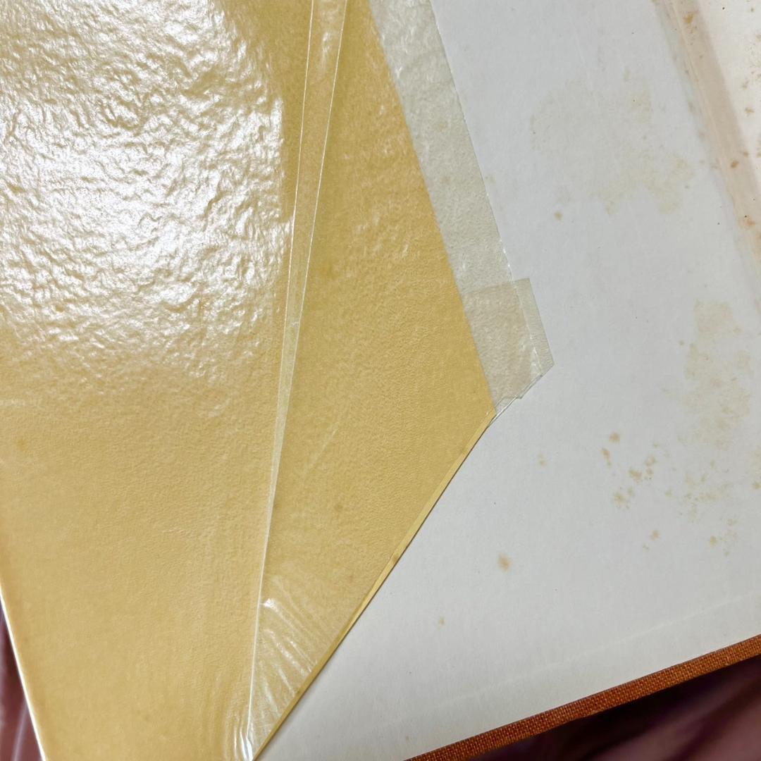 洋書 ESSAYS IN THE THEORY OF EMPLOYMENT No173