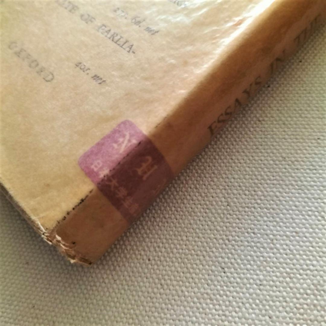 洋書 ESSAYS IN THE THEORY OF EMPLOYMENT No173