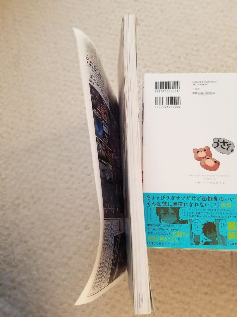 ホームラン2005夏　甲子園大会