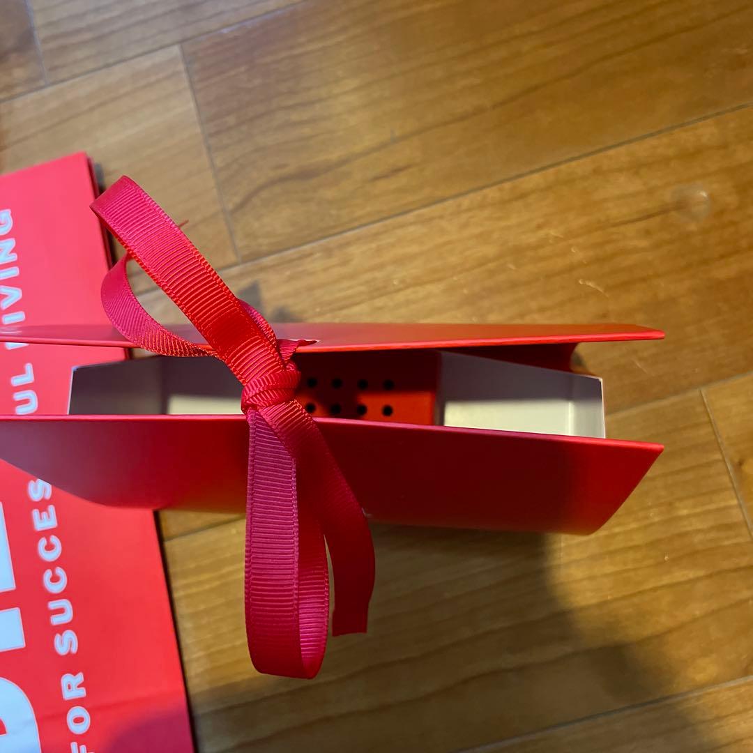 DX1316 ディーゼルピアス