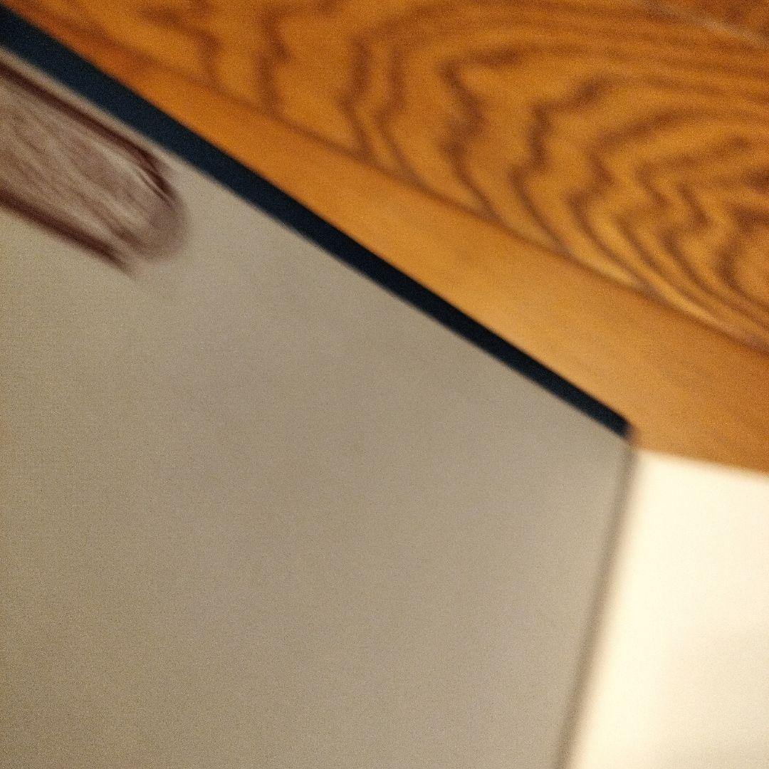 洋書 GERARD MANLEY HOPKINS (1844-1889)