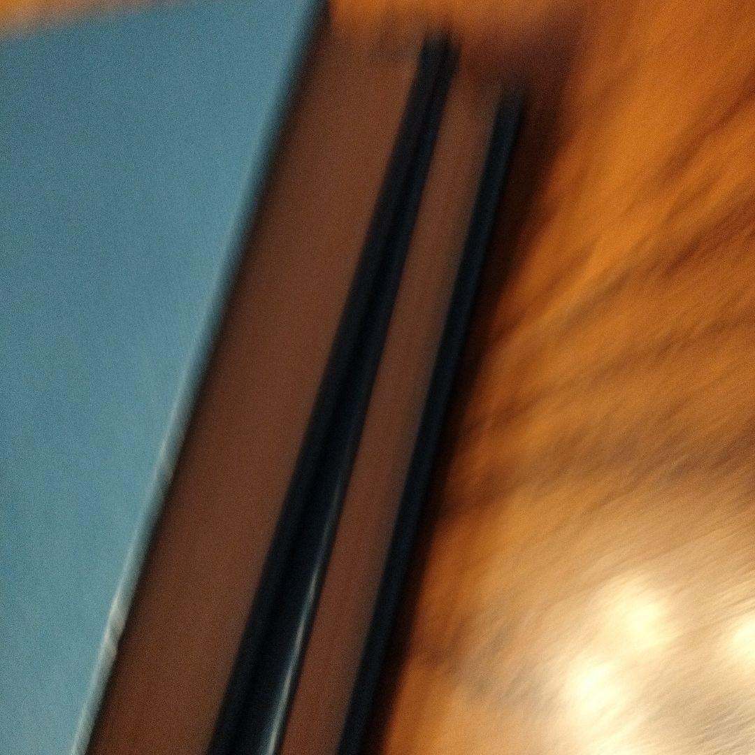 洋書 GERARD MANLEY HOPKINS (1844-1889)