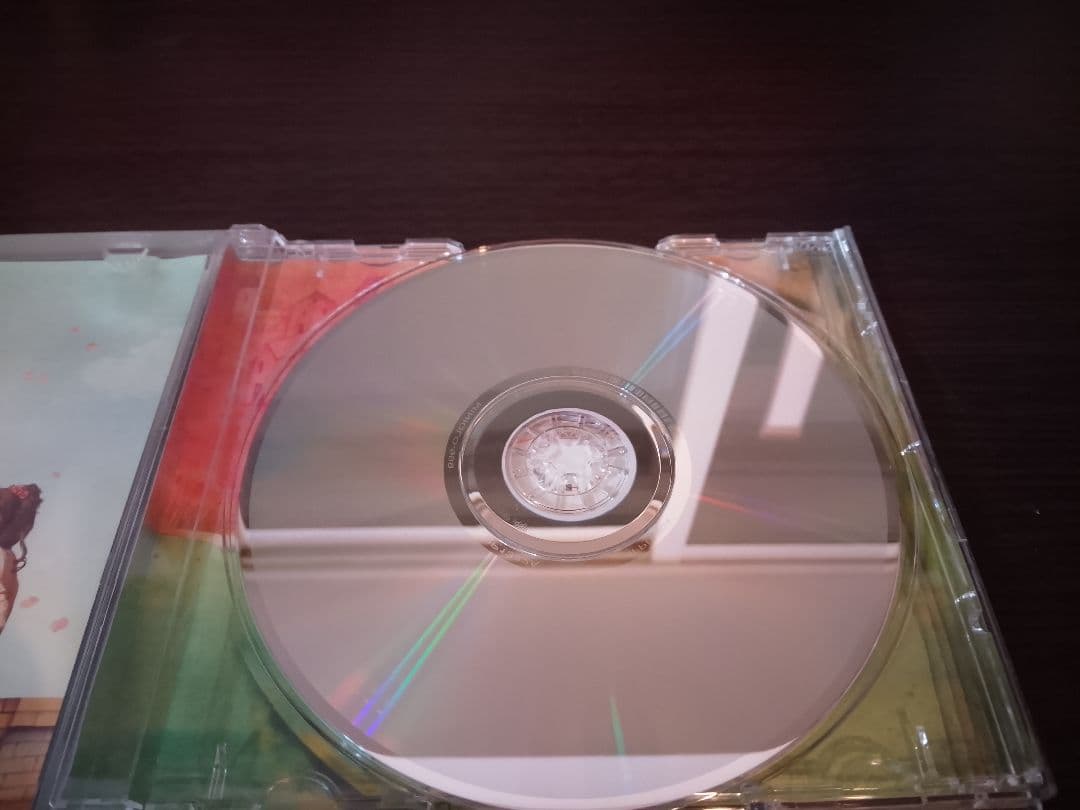 MINIQLO　Viento Blanco　ミニクロ　garnet crow