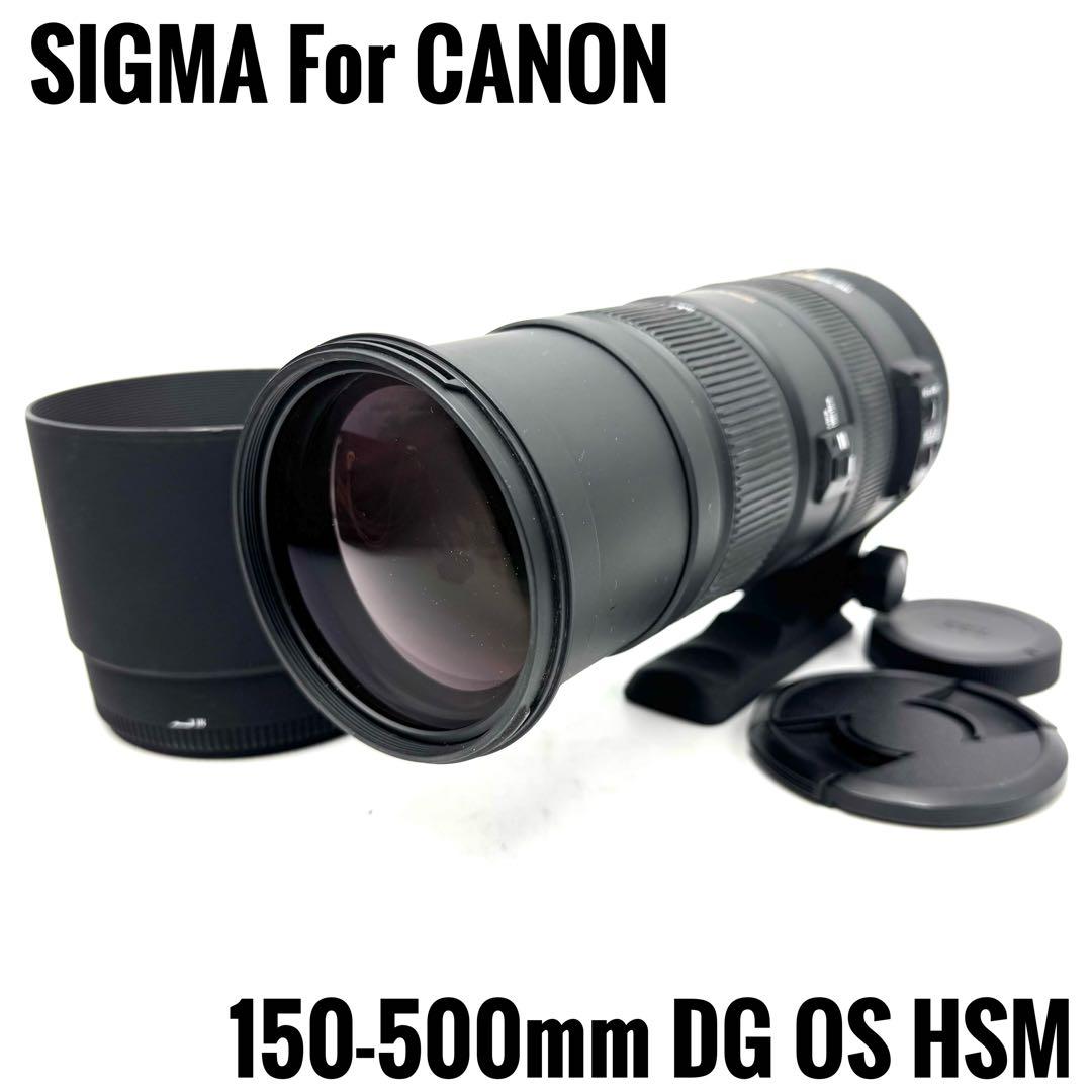 ❁大迫力❁SIGMA DG 150-500mm APO OS HSM CANON