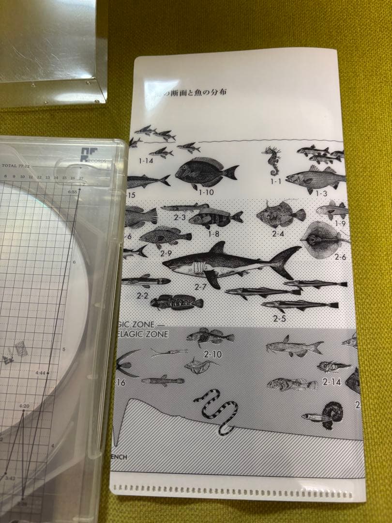 サカナクション　魚図鑑　2CD1DVD チケットホルダー付き