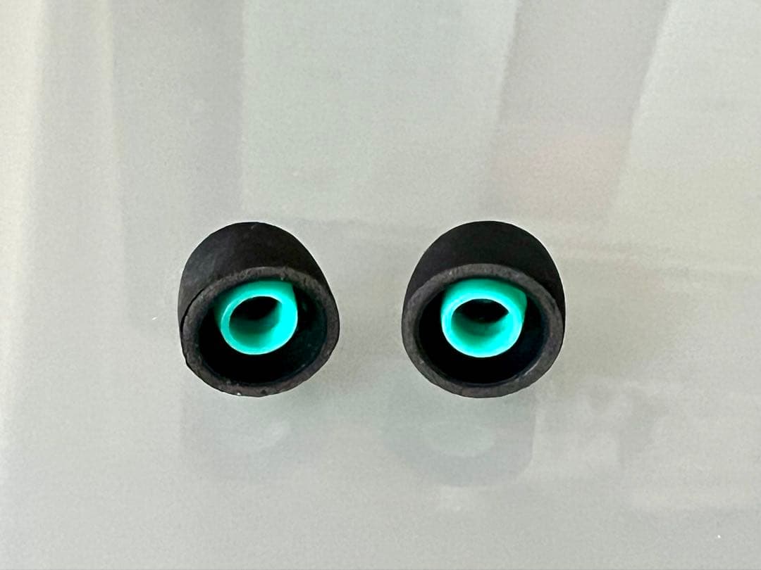 ●SONY ワイヤレスイヤホン WF-1000MX5 ブラック ケース付き