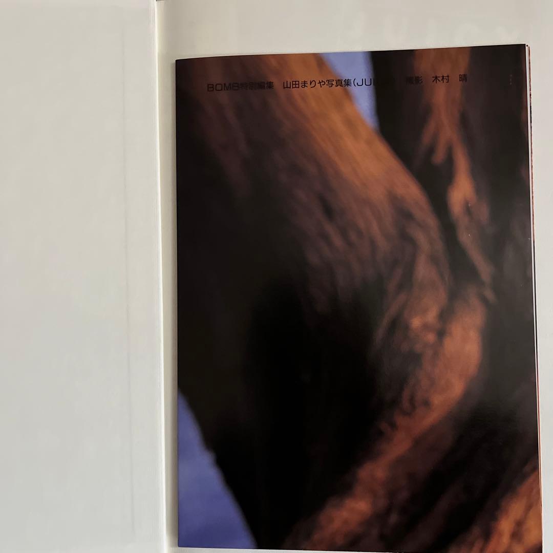 山田まりや　ポスター付き