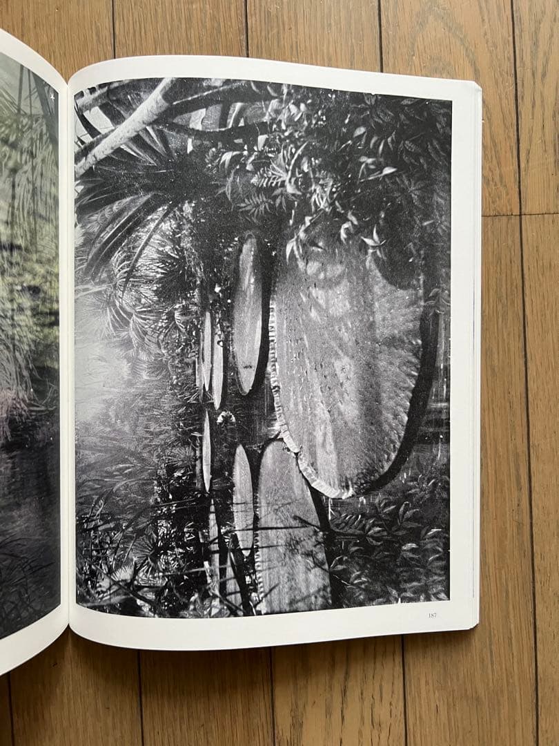 アート・デザイン・音楽 Batia Suter / Hexamile ( Mont-Voisin)