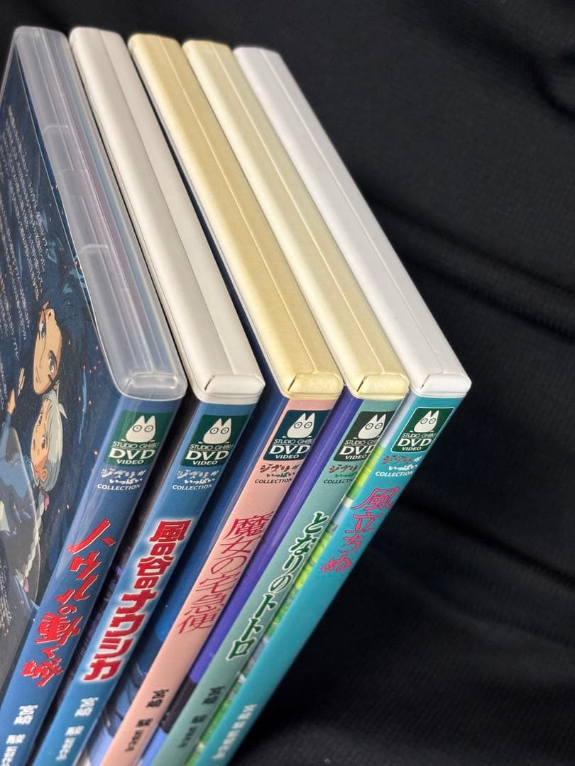 送料無料⭐︎ジブリDVD2枚組　5本セット＋DXDケース　ナウシカ　トトロ