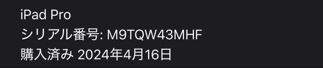 【美品】iPad Pro 12.9インチ (第6世代) 1TB M2