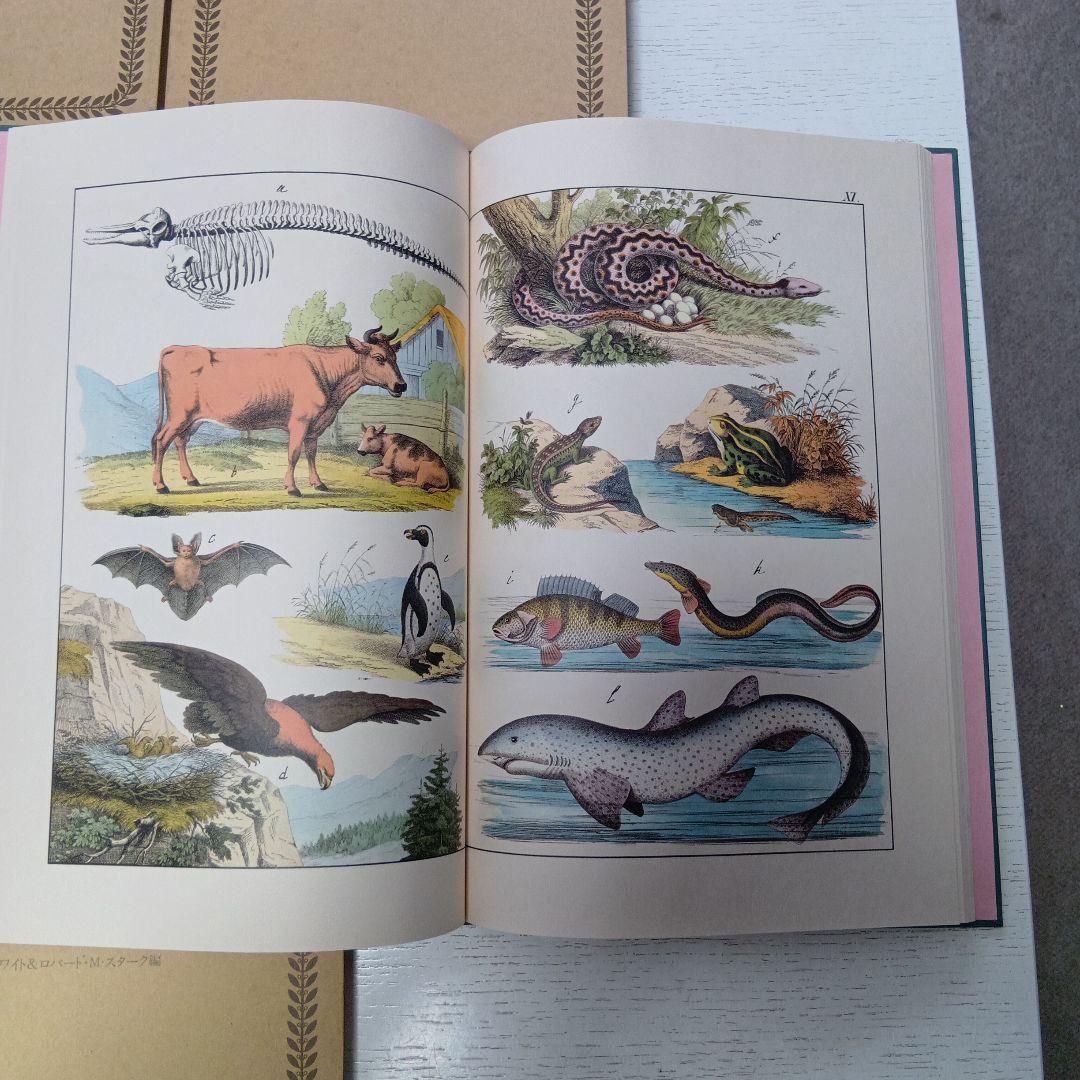 復刻 世界の絵本館『オズボーン　コレクションⅡ』英語の絵本