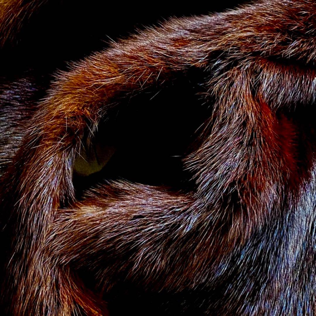 最高峰✨◆BALMAIN◆380万 仏 極上マホガニーミンクファーコート