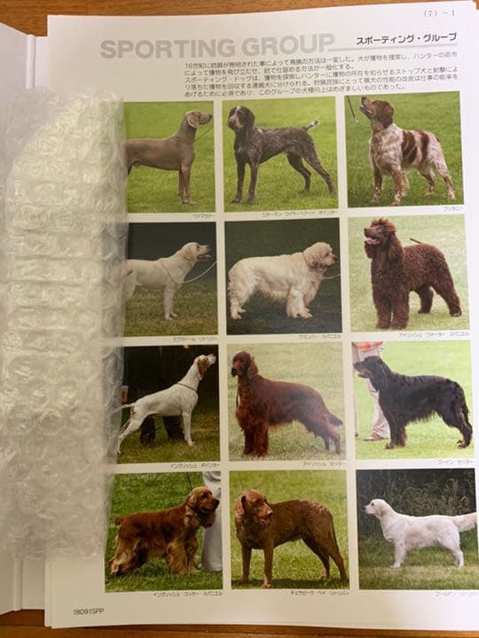 たのまな　ヒューマンアカデミー　ペット講座