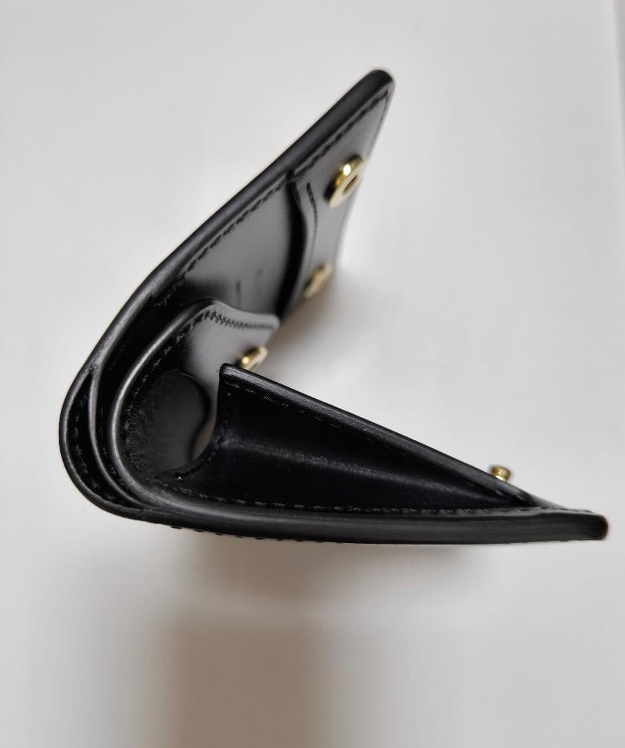 【新品】ワイルドスワンズ　kf-003 ポント　パーム　カーサ イーノ　タング