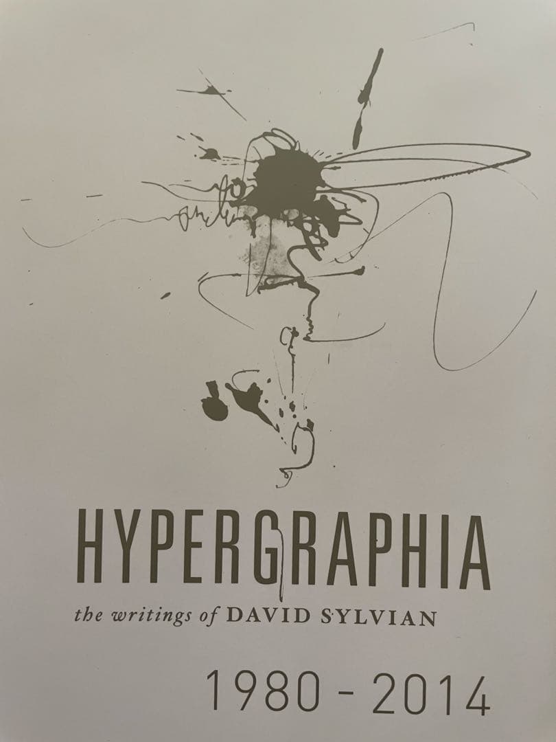 洋書 Hypergraphia david sylvian