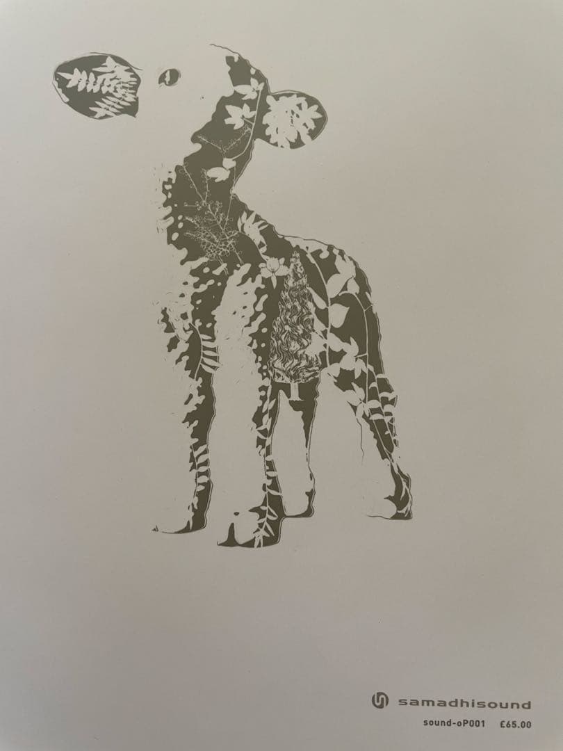 洋書 Hypergraphia david sylvian