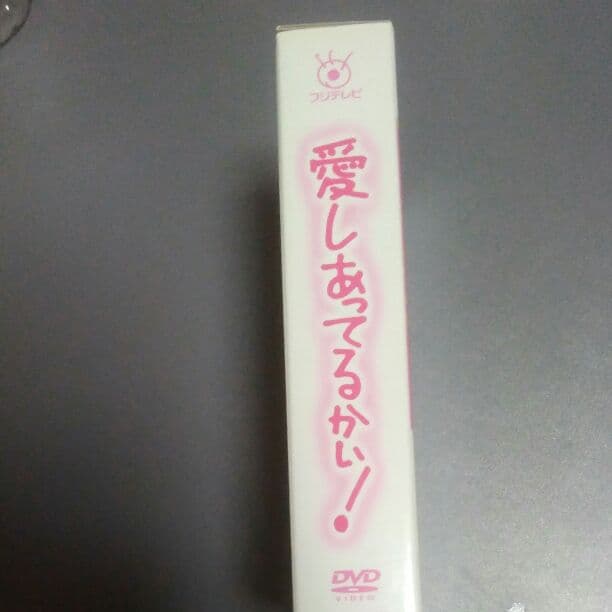 愛しあってるかい！　DVD box