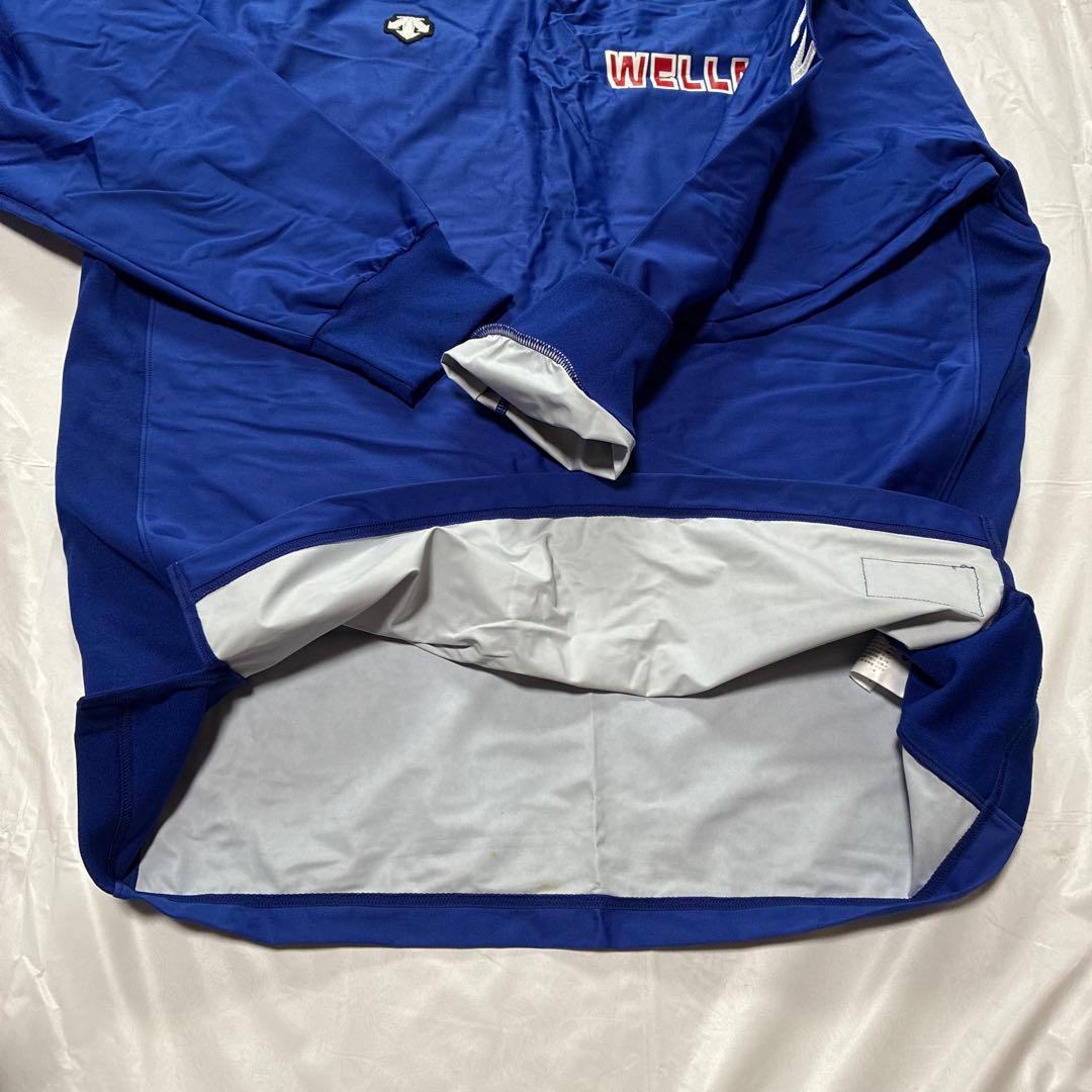 デサント　ウィンドブレーカー　日本ウェルネススポーツ大学　Lサイズ　ISHII入