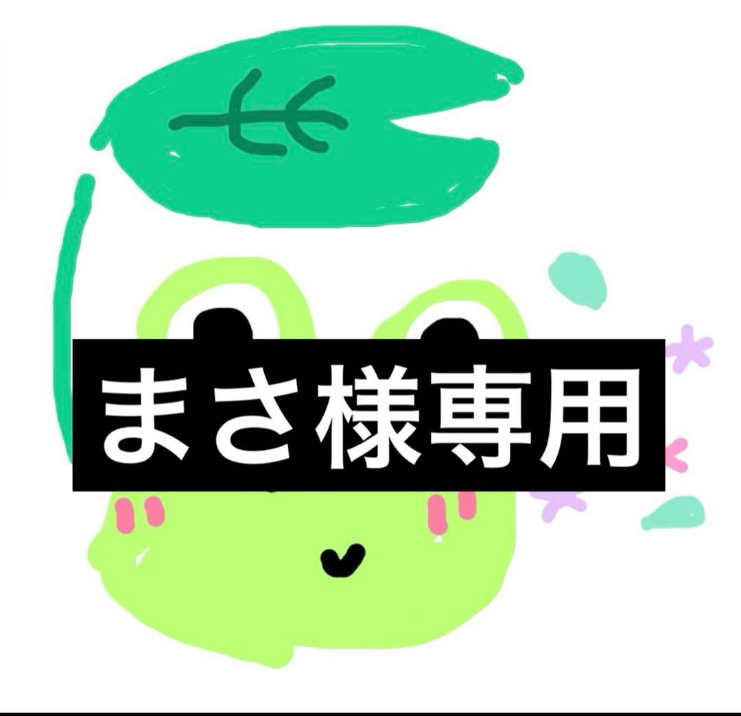 泥除け4枚　赤　ブーゲンビリア