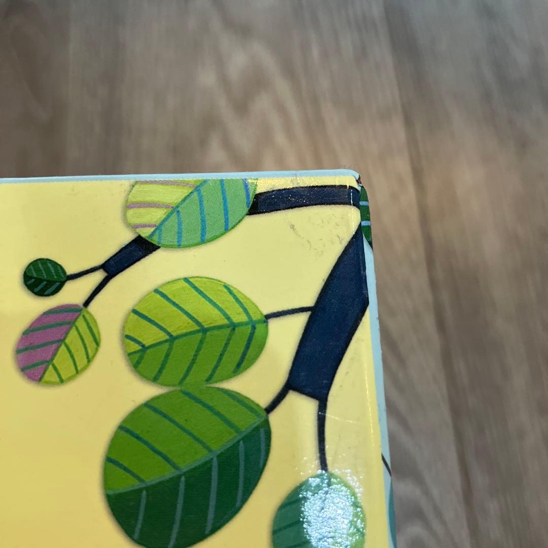 Usborne Peep Inside 6冊セット