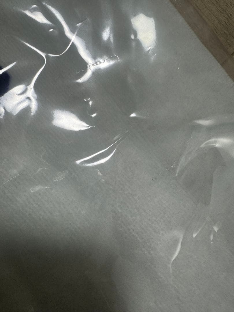 少年忍者 The shining star DVD 忍in The Summer