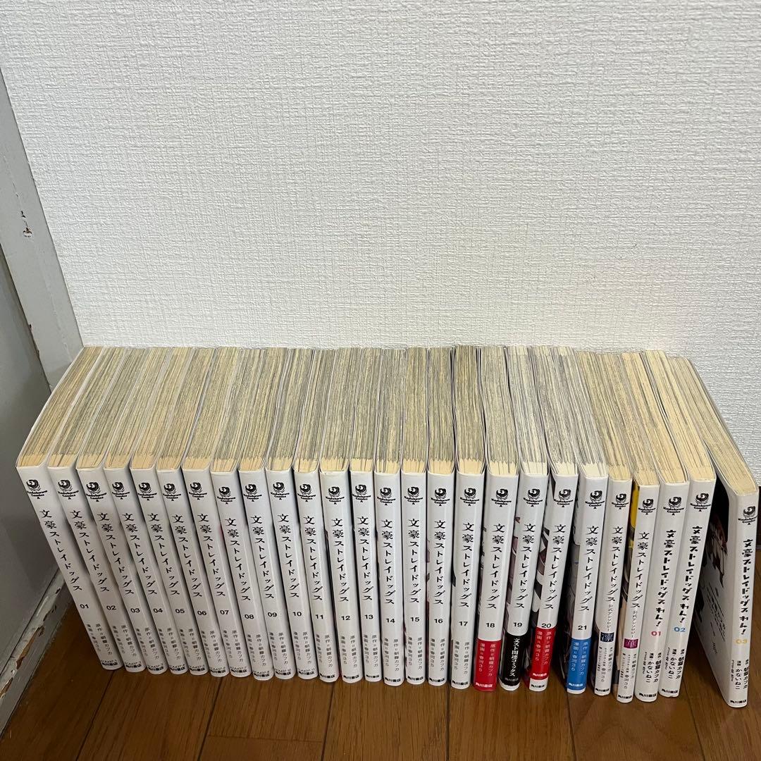 文豪ストレイドッグス 1巻~21巻+α