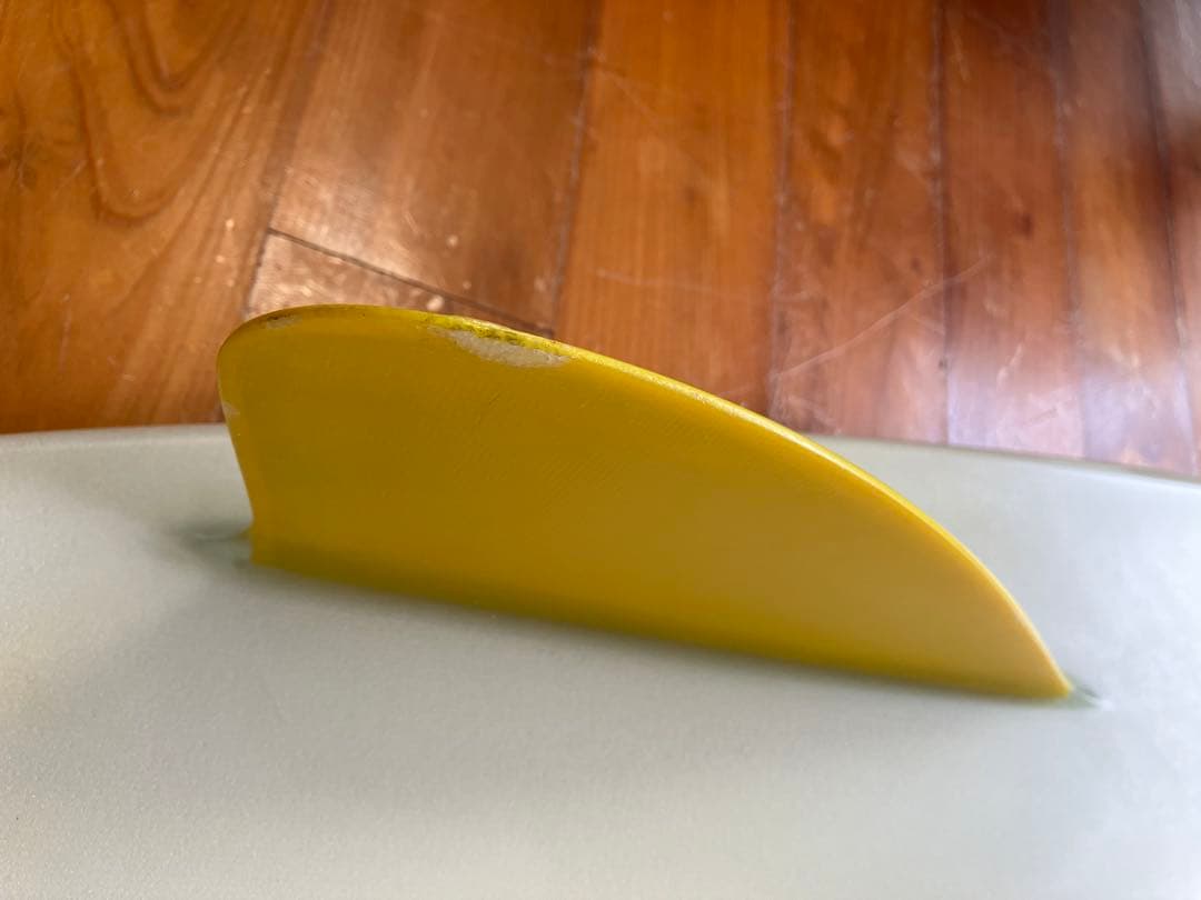 Tyler Warren Swallowed Soap 5.6 ミニシモンズ