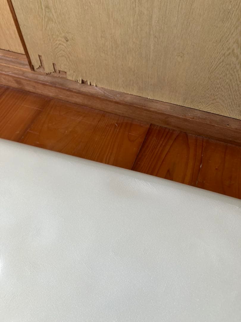 Tyler Warren Swallowed Soap 5.6 ミニシモンズ