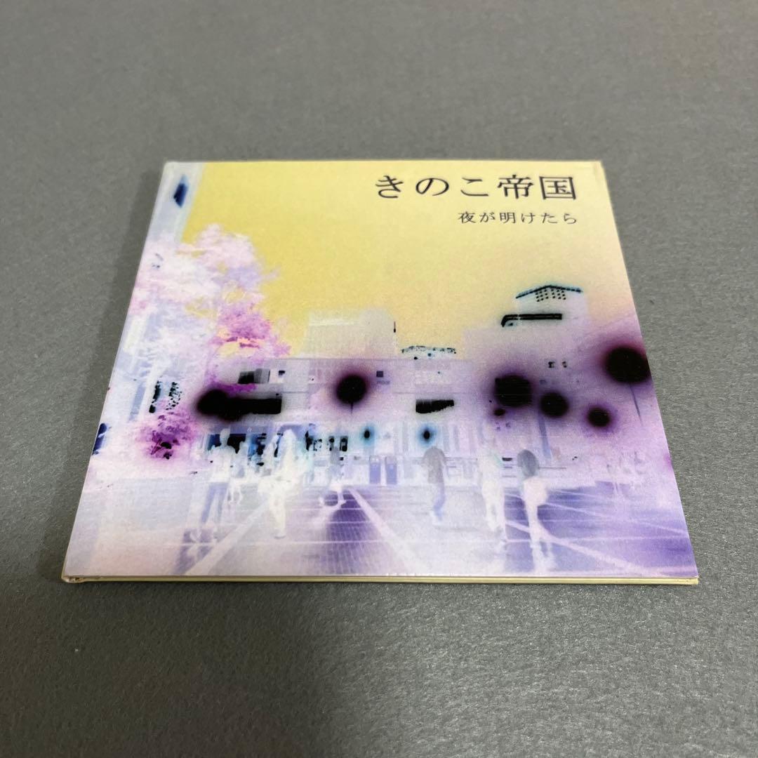 廃盤　きのこ帝国　夜が明けたら