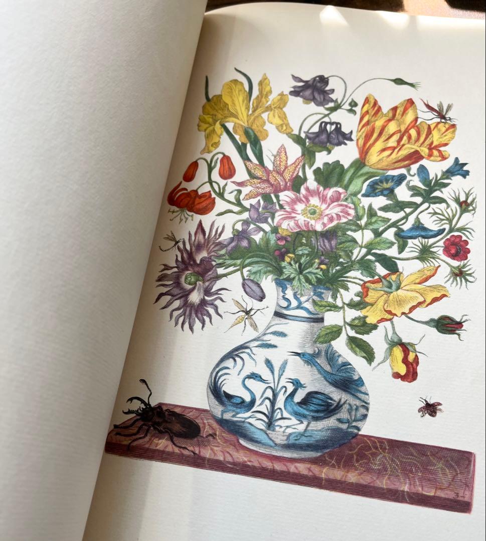 M.S. Merian お花図鑑　２冊　ヴィンテージ洋書　インゼル　初版1966