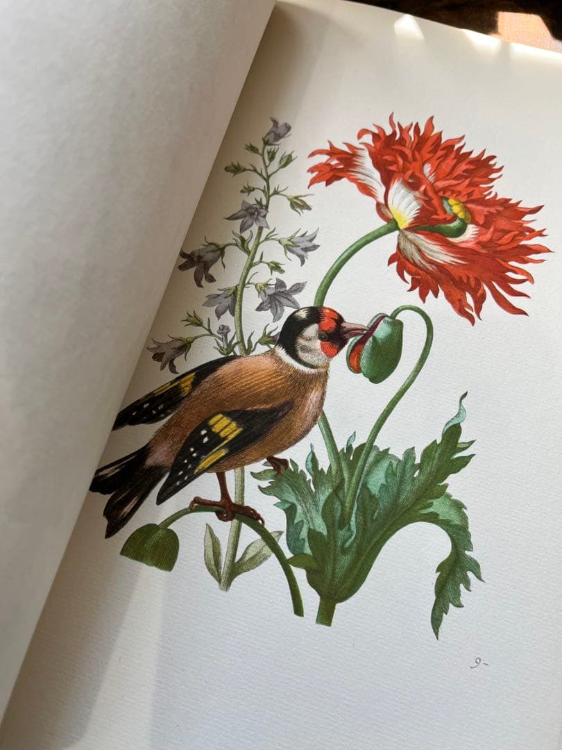 M.S. Merian お花図鑑　２冊　ヴィンテージ洋書　インゼル　初版1966