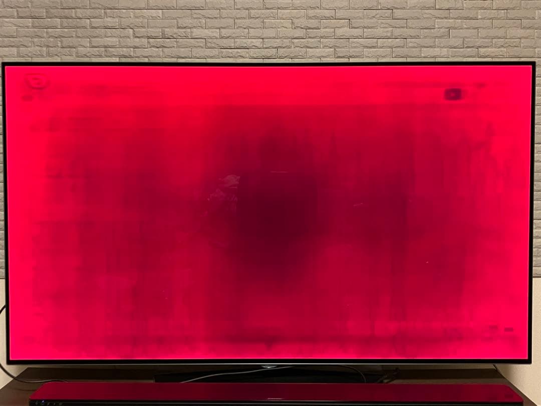 【milk2626様ご依頼分】4K有機EL55型テレビ LG OLED55B6P