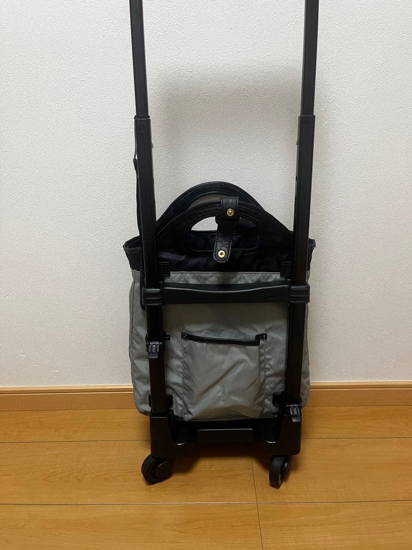 スワニー　キャリーバッグ　ショッピングカート