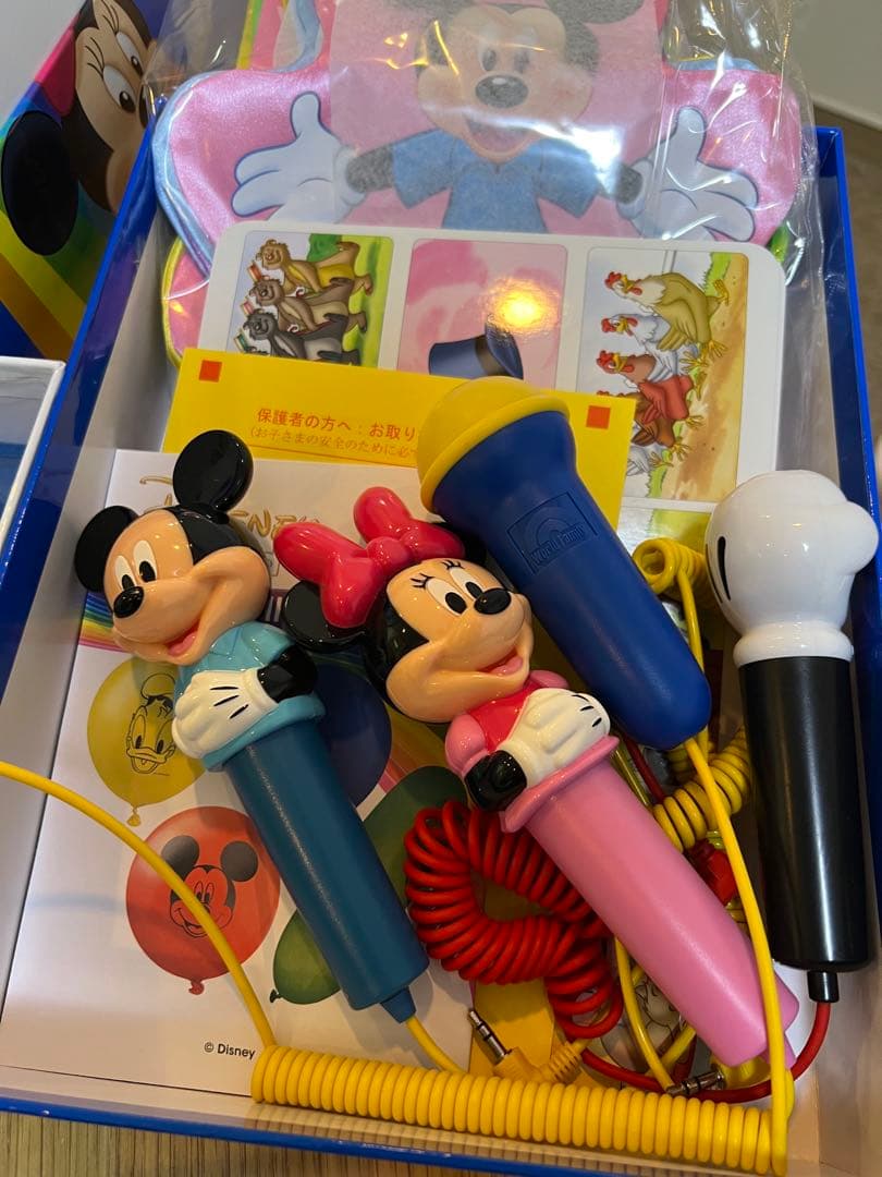 ディズニー　ワールドイングリッシュDVD