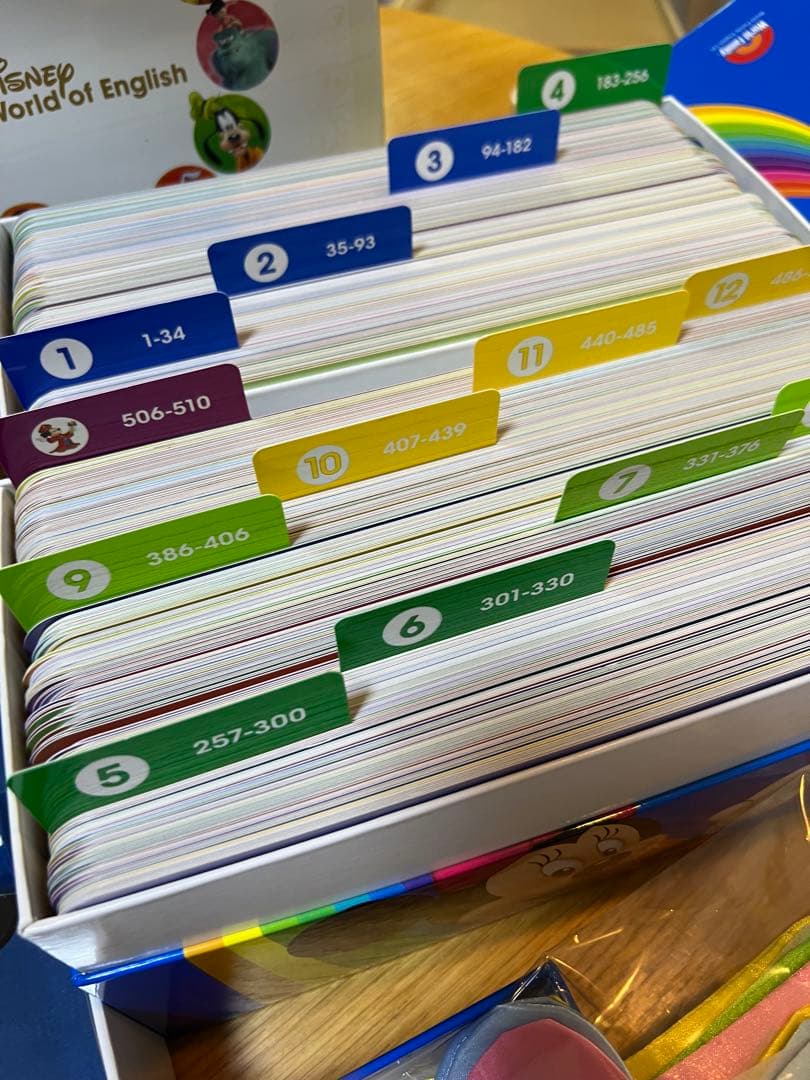 ディズニー　ワールドイングリッシュDVD