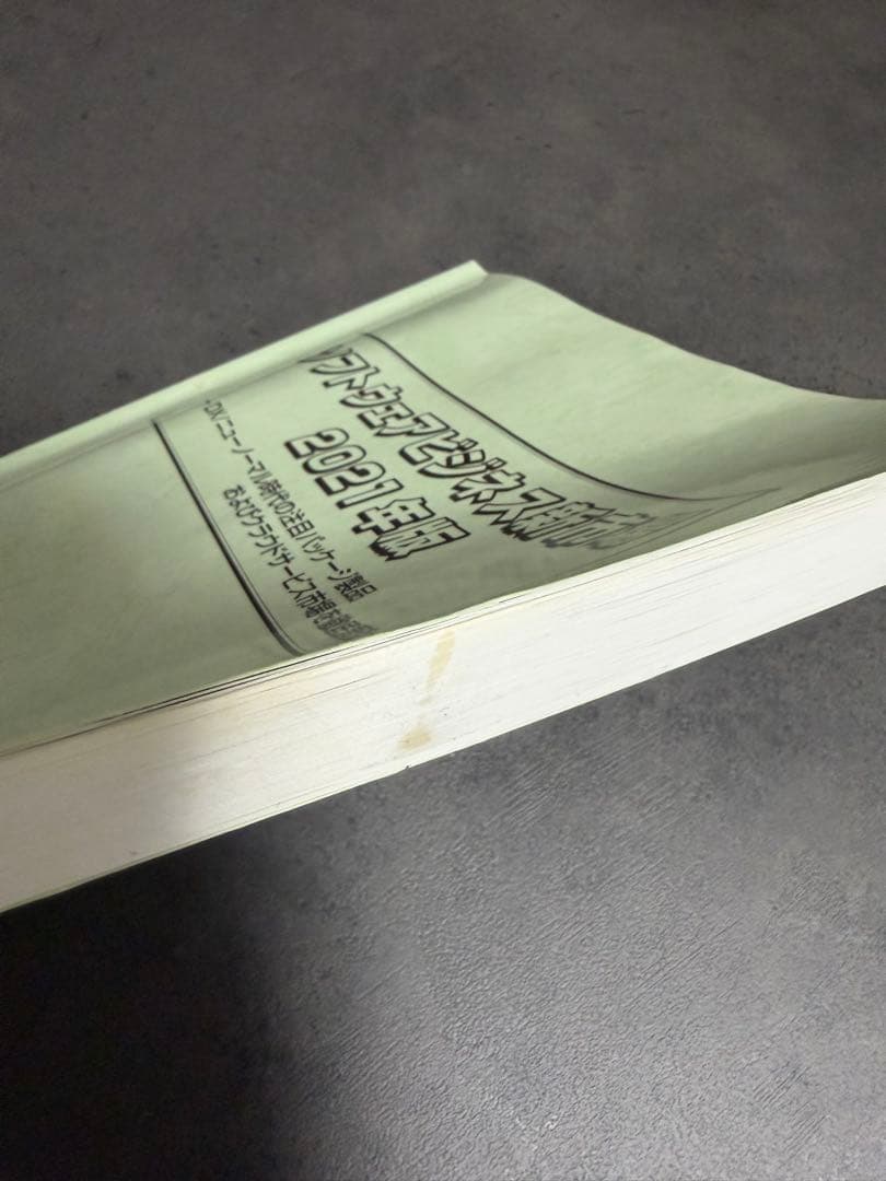 ソフトウェアビジネス新市場 2021年版 集計ファイル版セット