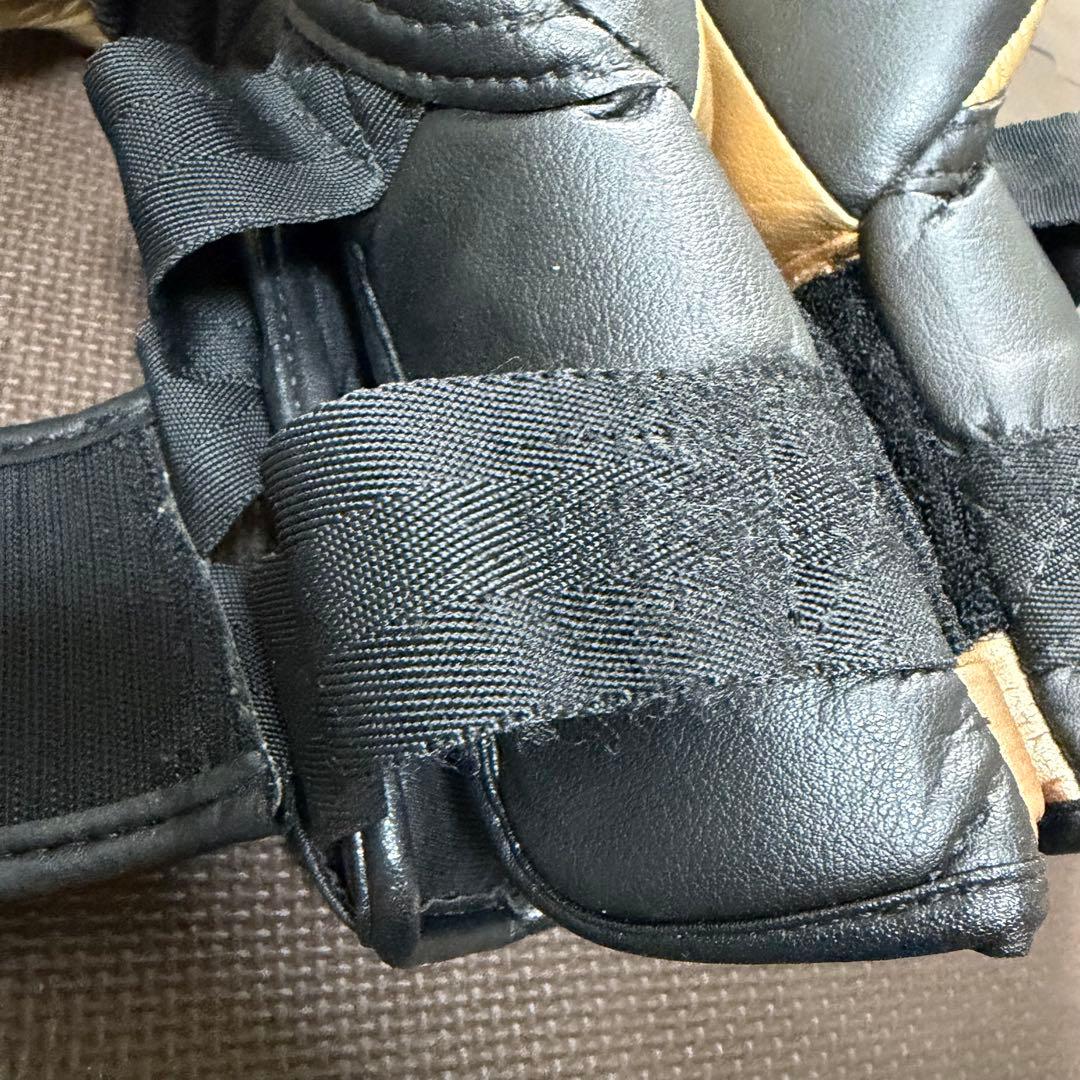 RIZAL EVOLUTION ボクシンググローブ ゴールド/ブラック　14oz