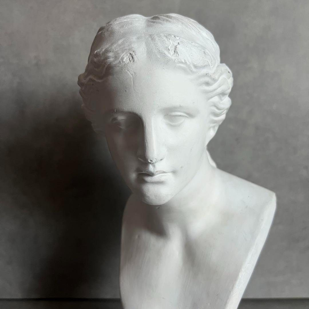 希少 ミロのヴィーナス 石膏 胸像 デッサン アート 彫刻 美術 芸術 アート