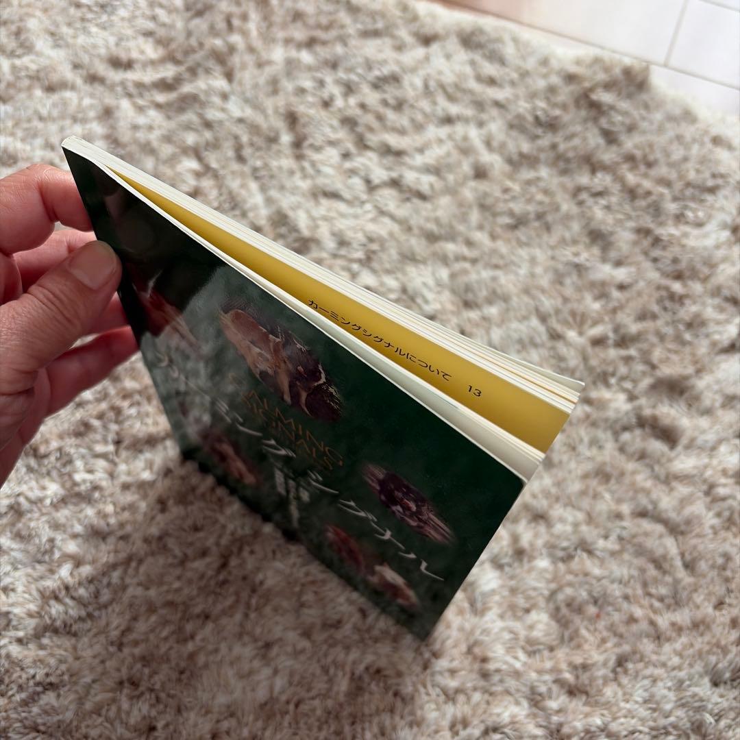 カーミングシグナル　犬　しつけ