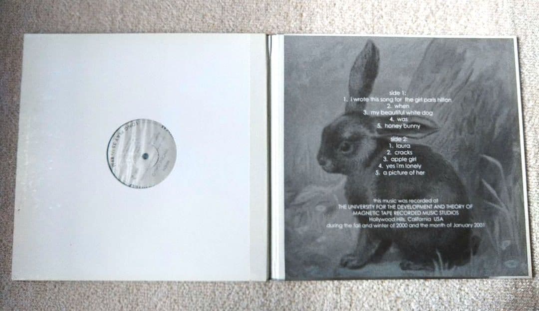 Vincent Gallo ヴィンセント・ギャロ LPレコード