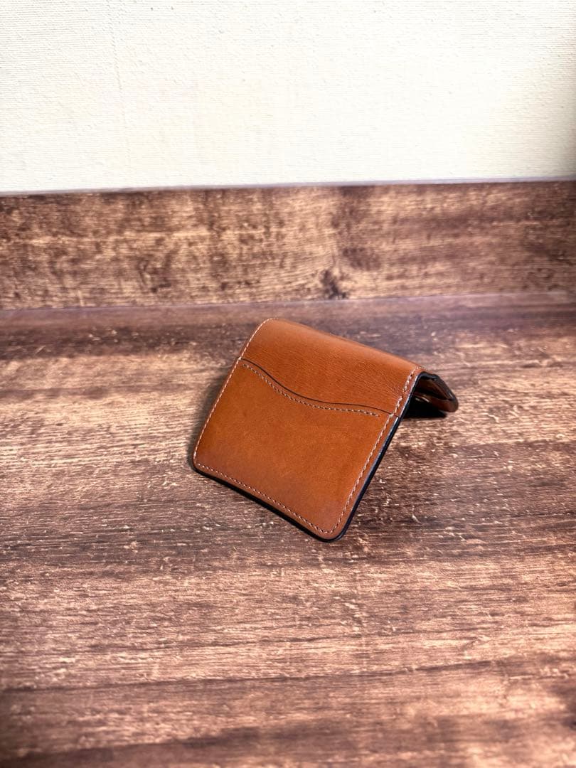 【希少】 WILDSWANS 2025 CASA ワイルドスワンズ カーサ