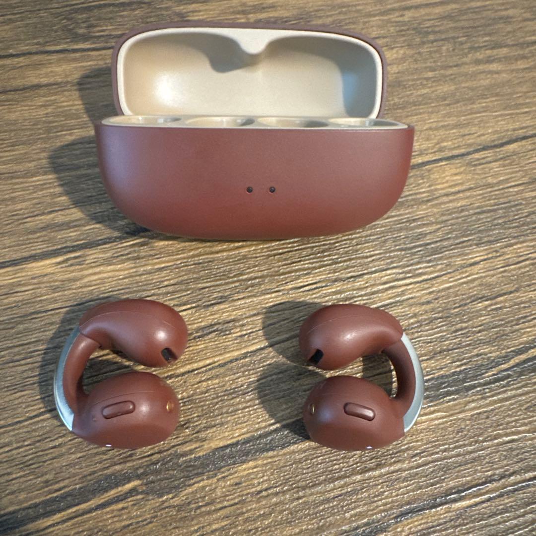 黒*ジ様 victor HA-NP1T マルーン