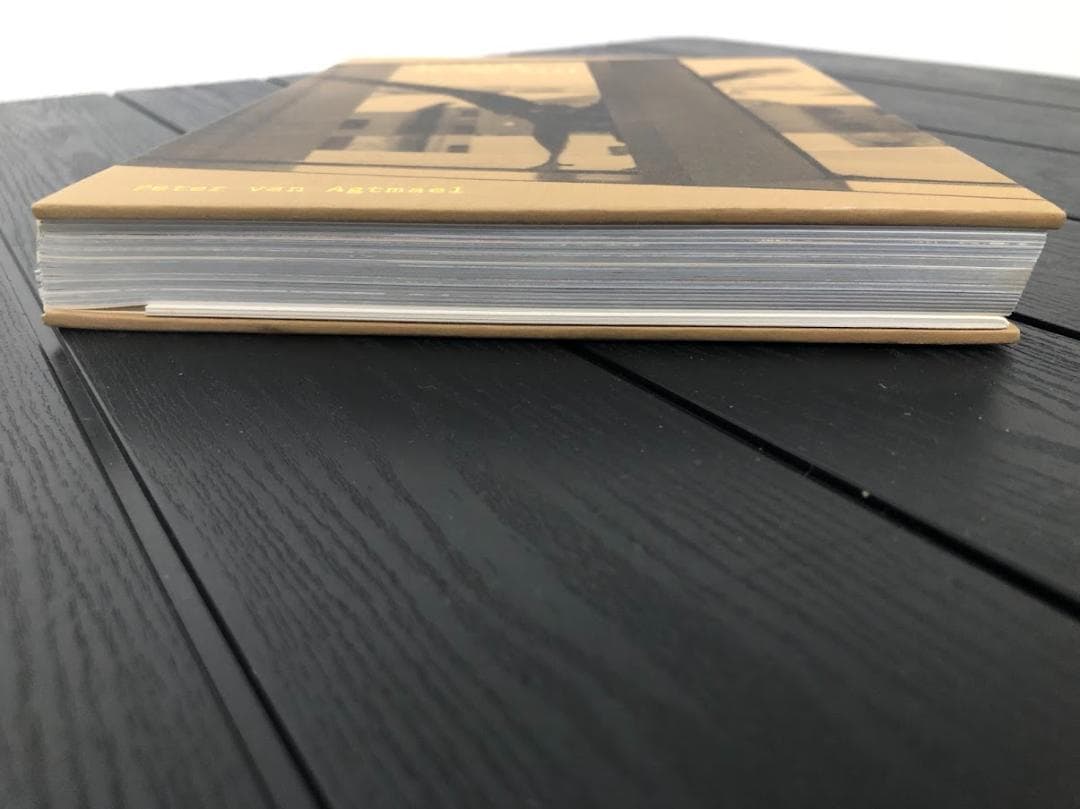 Buzzing at the Sill ピーター写真集 洋書