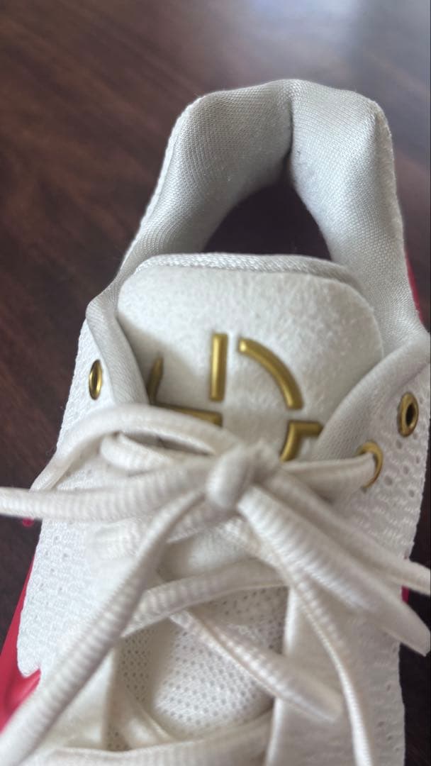 Nike HYPER DANK 2017✴︎Lunar New Year✴︎美品